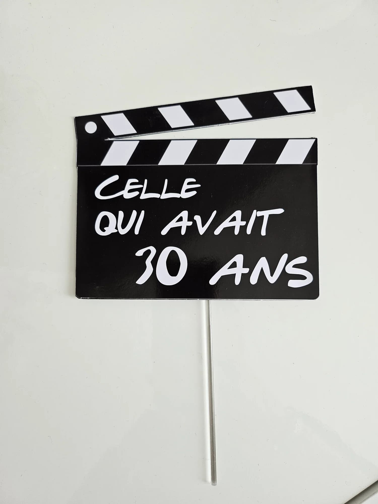 Réalisation à Pougues-les-Eaux par Le fouet enchanté